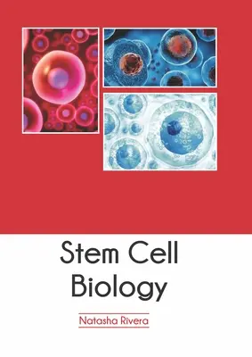 Biologie der Stammzellen - Stem Cell Biology