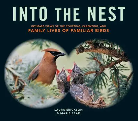 Into the Nest: Intime Einblicke in das Balz-, Eltern- und Familienleben von Vögeln - Into the Nest: Intimate Views of the Courting, Parenting, and Family Lives of Familiar Birds