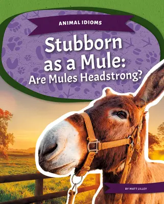 Hartnäckig wie ein Maultier: Sind Maultiere eigensinnig? - Stubborn as a Mule: Are Mules Headstrong?