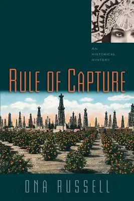 Die Herrschaft der Gefangennahme - Rule of Capture