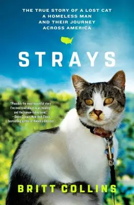 Streuner: Die wahre Geschichte einer verlorenen Katze, eines obdachlosen Mannes und ihrer Reise quer durch Amerika - Strays: The True Story of a Lost Cat, a Homeless Man, and Their Journey Across America
