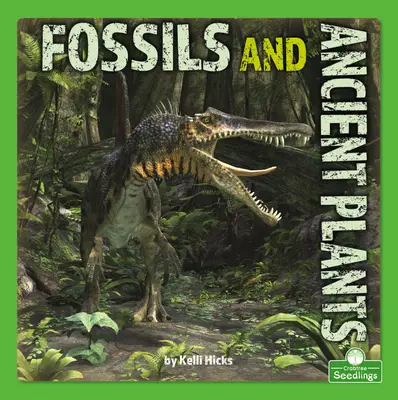 Fossilien und uralte Pflanzen - Fossils and Ancient Plants