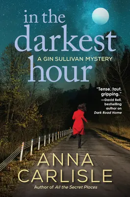 In der dunkelsten Stunde: Ein Gin Sullivan-Krimi - In the Darkest Hour: A Gin Sullivan Mystery