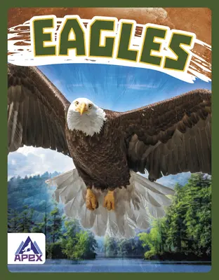 Adler - Eagles