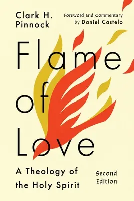 Die Flamme der Liebe: Drei Ansichten über das Schicksal der Unevangelisierten - Flame of Love: Three Views on the Destiny of the Unevangelized