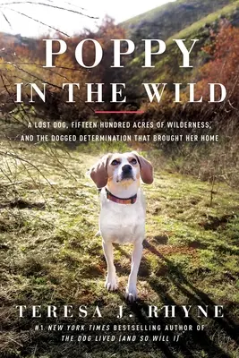 Poppy in der Wildnis: Ein verlorener Hund, fünfzehnhundert Hektar Wildnis und die verbissene Entschlossenheit, die sie nach Hause brachte - Poppy in the Wild: A Lost Dog, Fifteen Hundred Acres of Wilderness, and the Dogged Determination That Brought Her Home