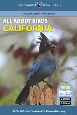 Alles über Vögel Kalifornien - All about Birds California