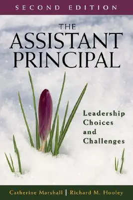 Der stellvertretende Schulleiter: Führungsentscheidungen und Herausforderungen - The Assistant Principal: Leadership Choices and Challenges