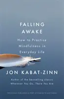 Aufwachen - Wie man Achtsamkeit im Alltag praktiziert - Falling Awake - How to Practice Mindfulness in Everyday Life