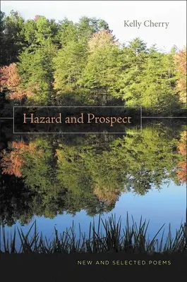 Gefahr und Aussicht: Neue und ausgewählte Gedichte - Hazard and Prospect: New and Selected Poems