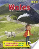 Wales - Ein Benjamin-Blog und sein neugieriger Hundeführer - Wales - A Benjamin Blog and His Inquisitive Dog Guide