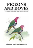 Tauben und Tauben - Ein Führer zu den Tauben und Tauben der Welt - Pigeons and Doves - A Guide to the Pigeons and Doves of the World