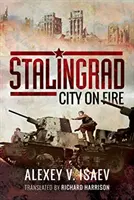 Stalingrad: Die brennende Stadt - Stalingrad: City on Fire