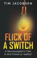 Ein Schalter auf Knopfdruck - Flick of a Switch