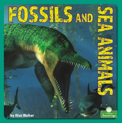 Fossilien und Meerestiere - Fossils and Sea Animals