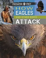 Raubtier gegen Beute: Wie Adler und andere Vögel angreifen! - Predator Vs Prey: How Eagles and Other Birds Attack!