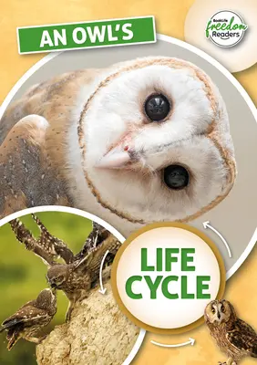 Der Lebenszyklus der Eule - Owl's Life Cycle