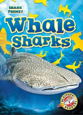 Walhaie - Whale Sharks