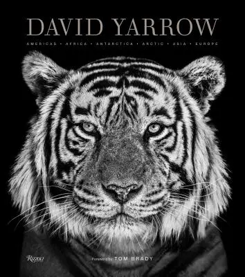 David Yarrow Fotografie: Amerika Afrika Antarktis Arktis Asien Europa - David Yarrow Photography: Americas Africa Antarctica Arctic Asia Europe