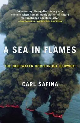 Ein Meer in Flammen: Die Deepwater Horizon Ölpest - A Sea in Flames: The Deepwater Horizon Oil Blowout