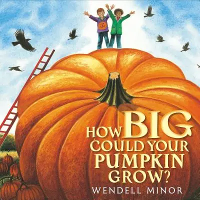 Wie groß kann dein Kürbis werden? - How Big Could Your Pumpkin Grow?