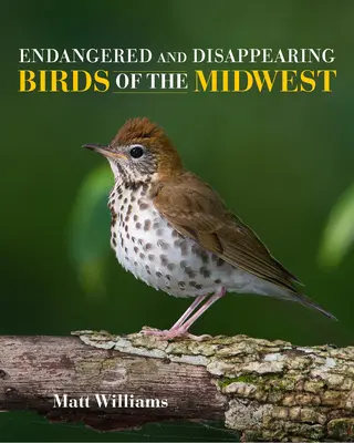 Bedrohte und verschwindende Vögel des Mittleren Westens - Endangered and Disappearing Birds of the Midwest