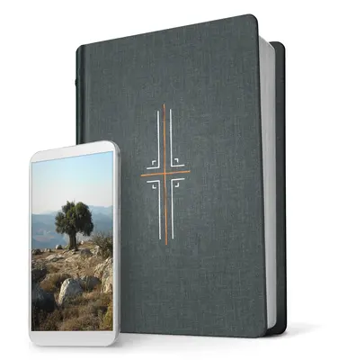 Filament Bibel NLT (Hardcover Stoff, Grau, Indexiert): Die gedruckte+digitale Bibel - Filament Bible NLT (Hardcover Cloth, Gray, Indexed): The Print+digital Bible