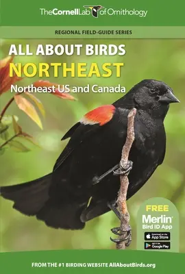 Alles über Vögel Nordosten: Nordosten der USA und Kanada - All about Birds Northeast: Northeast Us and Canada