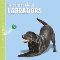 Schnelle Fakten über Labradore - Fast Facts About Labradors