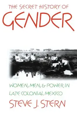 Die geheime Geschichte der Geschlechter: Frauen, Männer und Macht im spätkolonialen Mexiko - The Secret History of Gender: Women, Men, and Power in Late Colonial Mexico