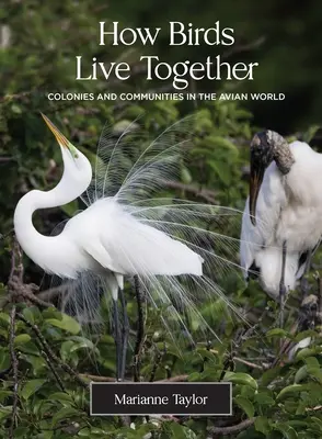 Wie Vögel zusammenleben: Kolonien und Gemeinschaften in der Welt der Vögel - How Birds Live Together: Colonies and Communities in the Avian World