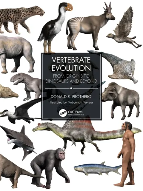 Die Evolution der Wirbeltiere: Von den Ursprüngen bis zu den Dinosauriern und darüber hinaus - Vertebrate Evolution: From Origins to Dinosaurs and Beyond