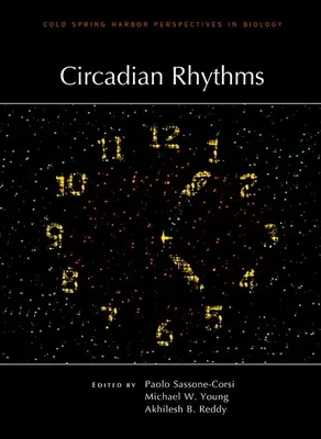 Zirkadiane Rhythmen - Circadian Rhythms