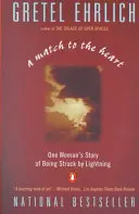 Ein Streichholz für das Herz: Die Geschichte einer Frau, die vom Blitz getroffen wurde - A Match to the Heart: One Woman's Story of Being Struck by Lightning
