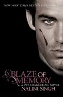 Glut der Erinnerung - Buch 7 - Blaze of Memory - Book 7