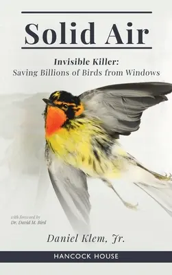 Feste Luft: Unsichtbarer Killer - Rettung von Vögeln aus Fenstern - Solid Air: Invisible Killer- Saving Birds from Windows