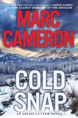 Cold Snap: Ein actiongeladener Spannungsroman - Cold Snap: An Action Packed Novel of Suspense