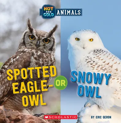 Fleckenuhu oder Schnee-Eule (Heiße und kalte Tiere) - Spotted Eagle-Owl or Snowy Owl (Hot and Cold Animals)