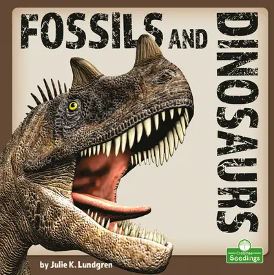 Fossilien und Dinosaurier - Fossils and Dinosaurs