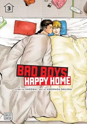 Böse Jungs, glückliches Zuhause, Band 3: Band 3 - Bad Boys, Happy Home, Vol. 3: Volume 3