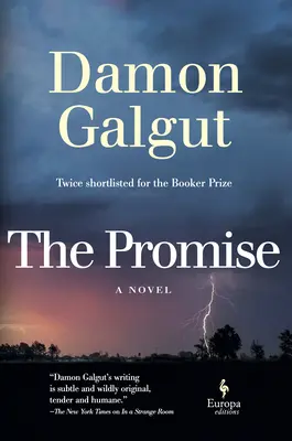 Das Versprechen: Ein Roman (Gewinner des Booker Prize) - The Promise: A Novel (Booker Prize Winner)