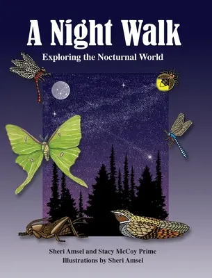 Ein Nachtspaziergang: Erkundung der nächtlichen Welt - A Night Walk: Exploring the Nocturnal World