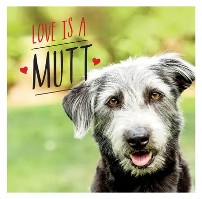 Love Is a Mutt: Eine hundebegeisterte Feier der süßesten Mischlinge und Kreuzungen der Welt - Love Is a Mutt: A Dog-Tastic Celebration of the World's Cutest Mixed and Cross Breeds