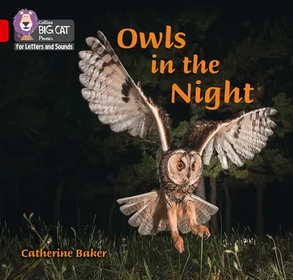 Eulen in der Nacht - Band 02b/Rot B - Owls in the Night - Band 02b/Red B