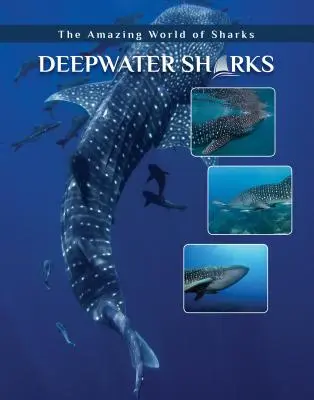 Tiefseehaie - Deepwater Sharks