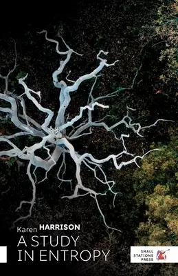 Eine Studie der Entropie - A Study in Entropy