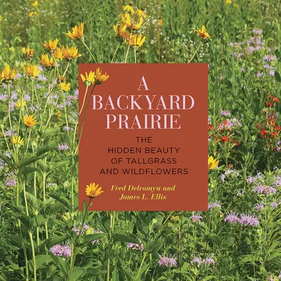 Eine Prärie im Hinterhof: Die verborgene Schönheit von Hochgras und Wildblumen - A Backyard Prairie: The Hidden Beauty of Tallgrass and Wildflowers