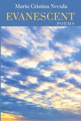 Flüchtig - Evanescent