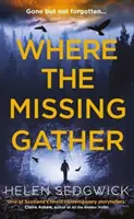 Wo sich die Vermissten versammeln - „Helen Sedgwick hat in die Zukunft gesehen, und diese Zukunft ist jetzt! Lemn Sissay, Autor von Mein Name ist Warum - Where the Missing Gather - 'Helen Sedgwick saw into the future and that future is now!' Lemn Sissay, author of My Name Is Why