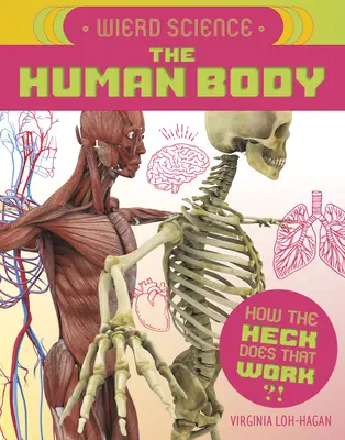 Verrückte Wissenschaft: Der menschliche Körper - Weird Science: The Human Body